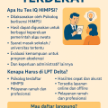 infografik Tes IQ HIMPSI Terdekat